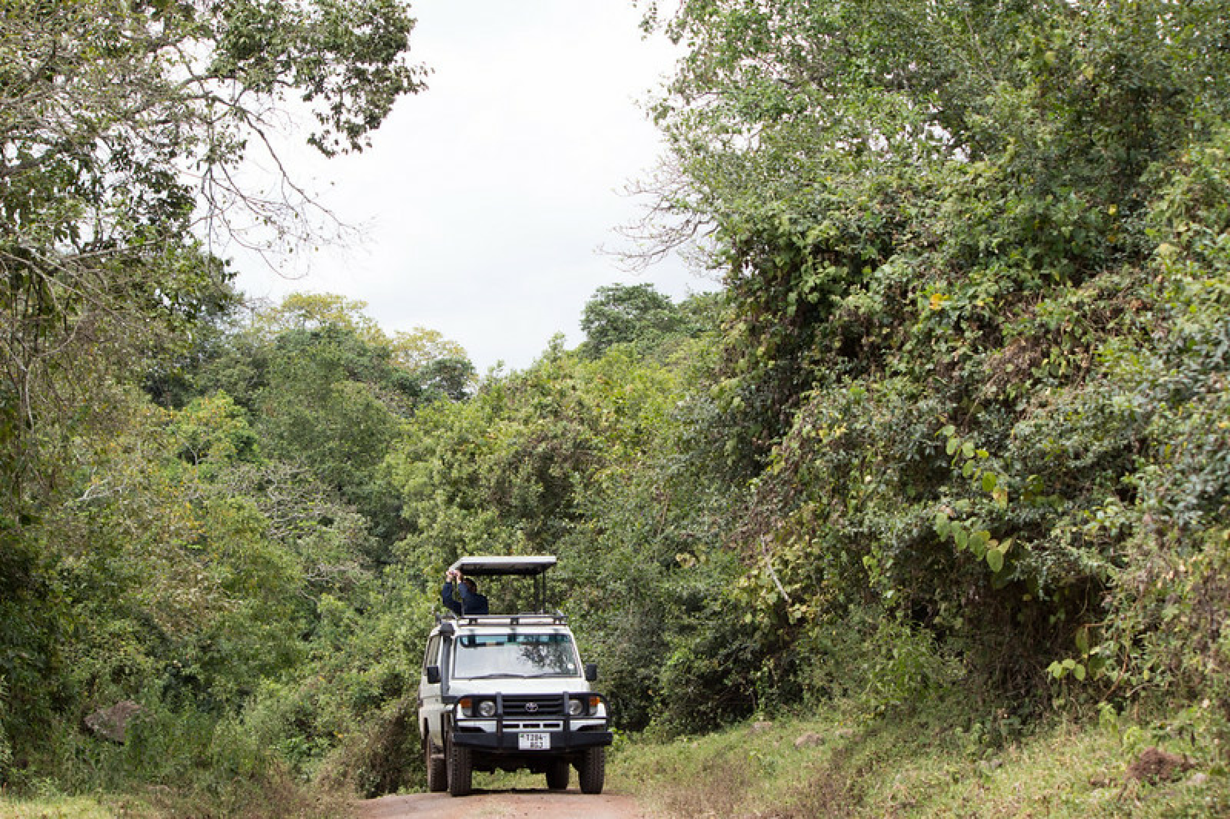 Arusha National Park