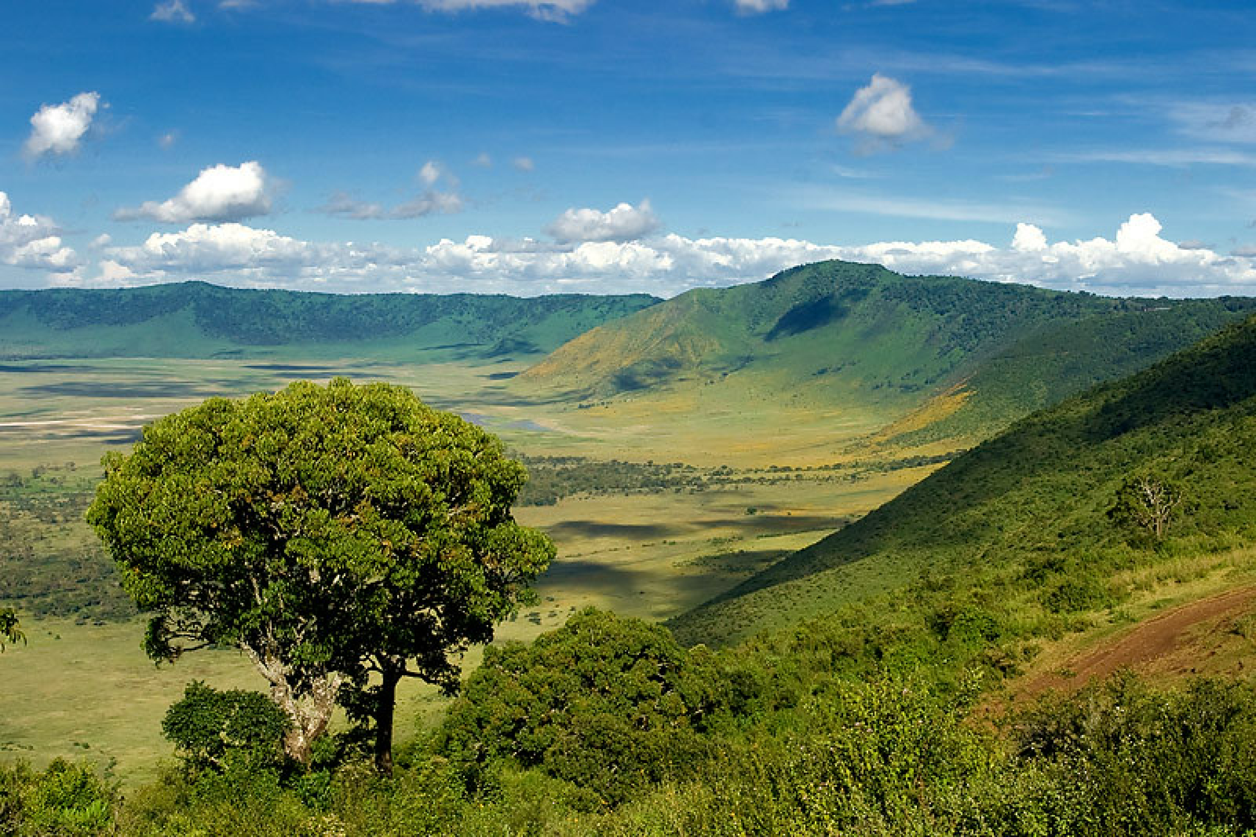 Ngorongoro Crater