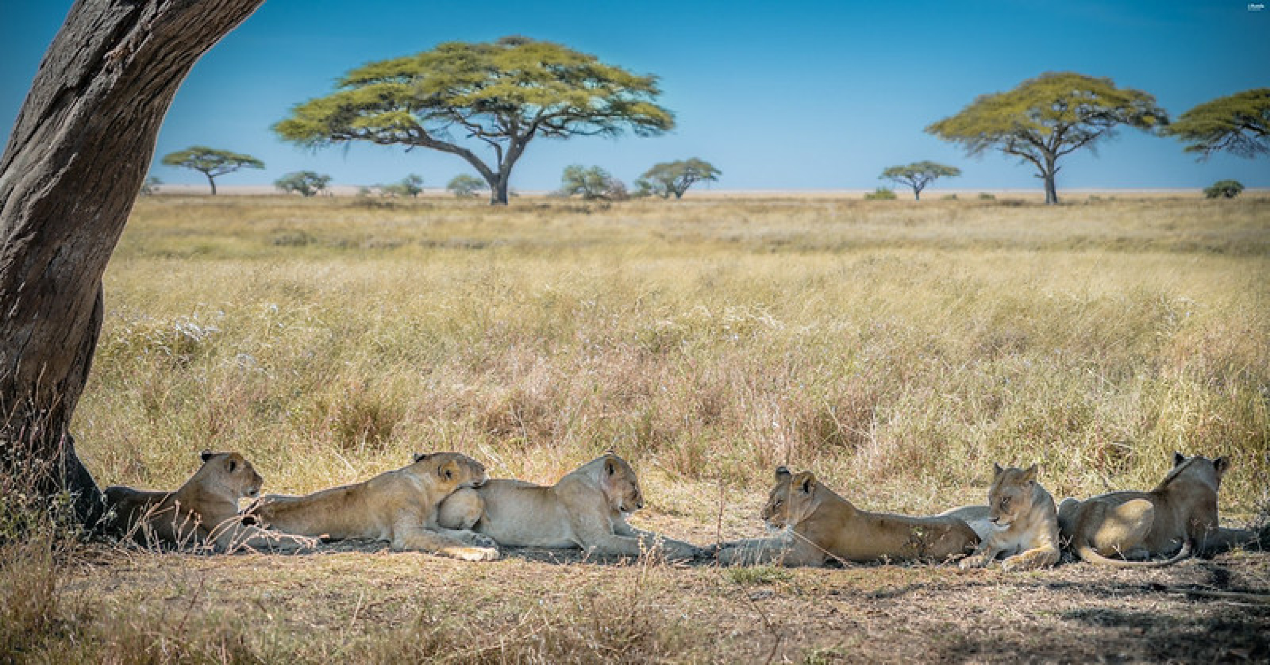 Serengeti National Park