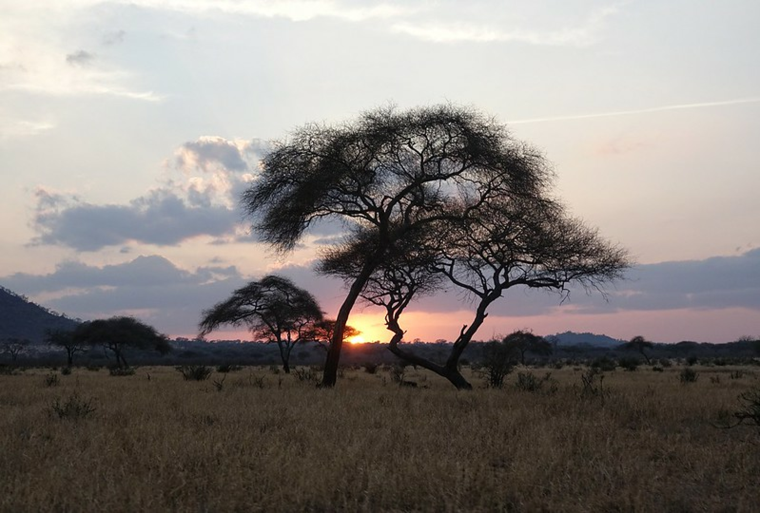 Tarangire National Park